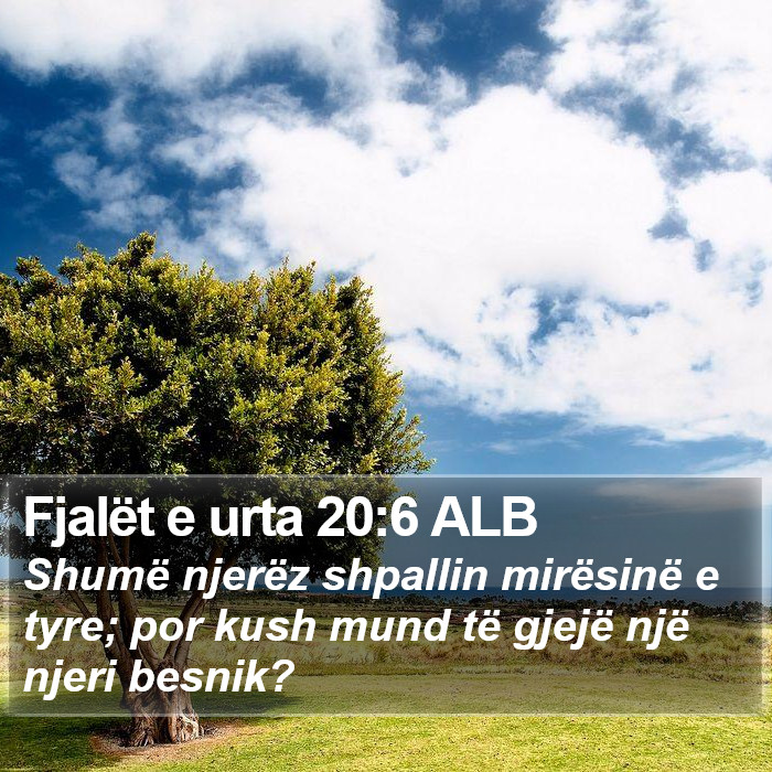 Fjalët e urta 20:6 ALB Bible Study