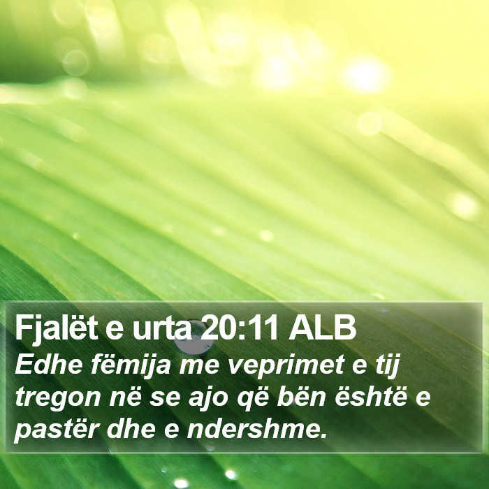 Fjalët e urta 20:11 ALB Bible Study