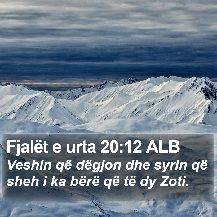 Fjalët e urta 20:12 ALB Bible Study