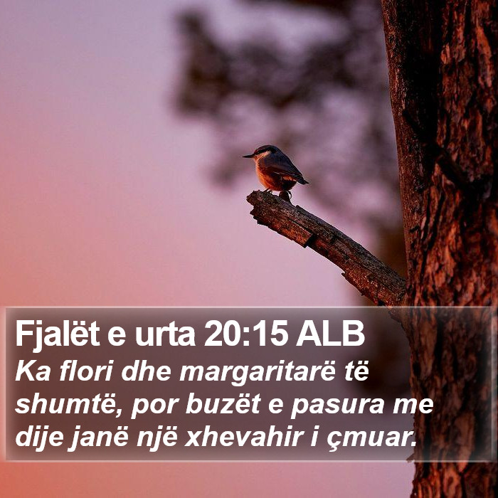 Fjalët e urta 20:15 ALB Bible Study