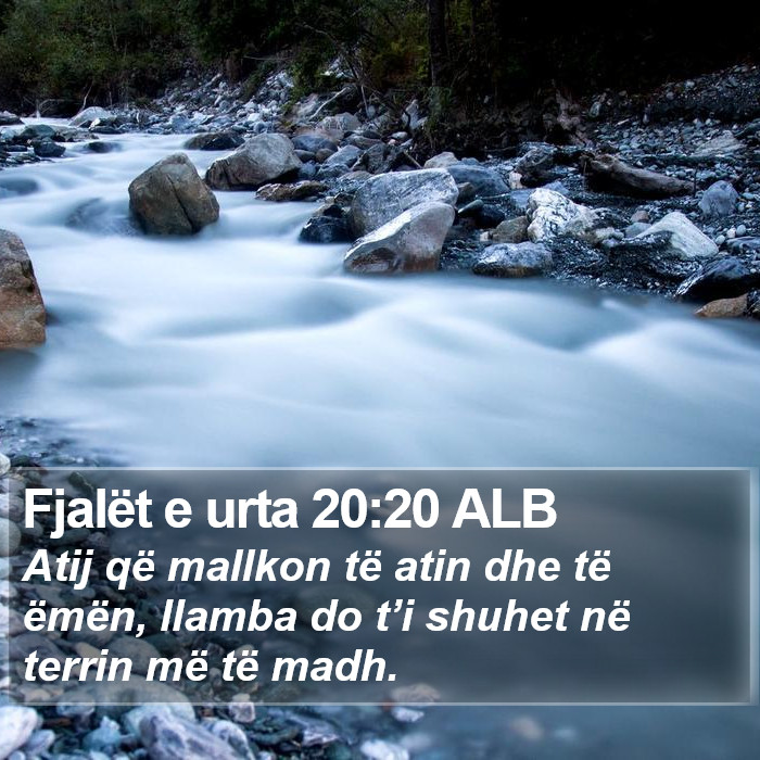 Fjalët e urta 20:20 ALB Bible Study