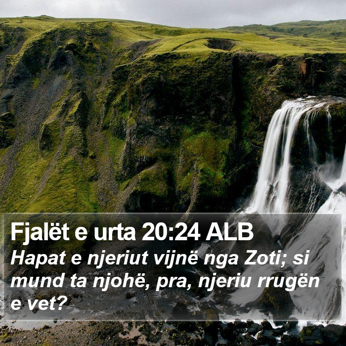 Fjalët e urta 20:24 ALB Bible Study