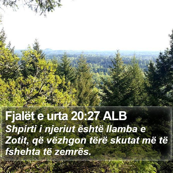 Fjalët e urta 20:27 ALB Bible Study