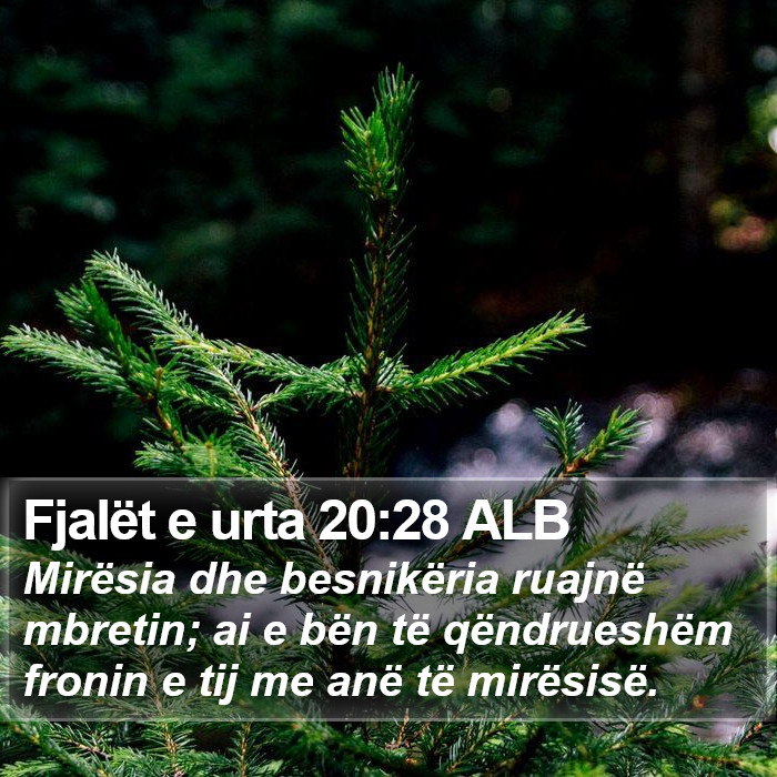 Fjalët e urta 20:28 ALB Bible Study