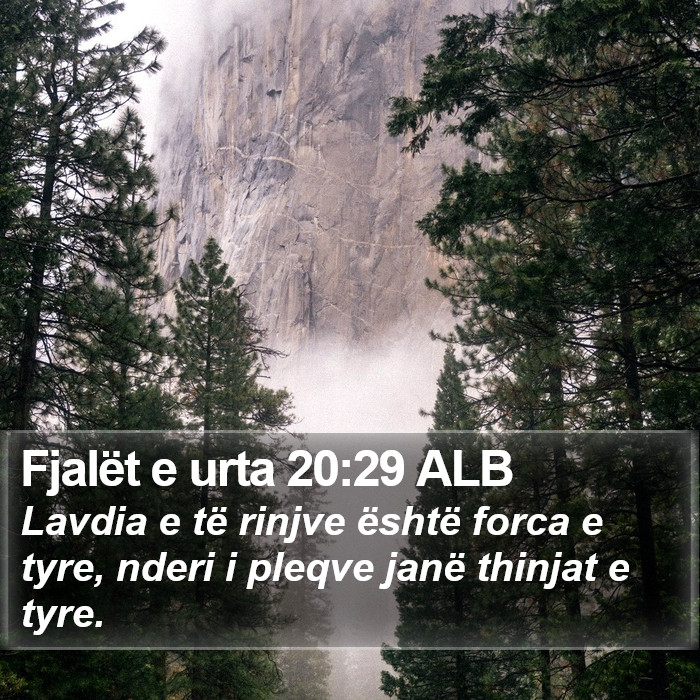 Fjalët e urta 20:29 ALB Bible Study