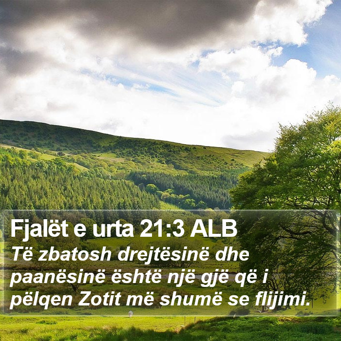 Fjalët e urta 21:3 ALB Bible Study
