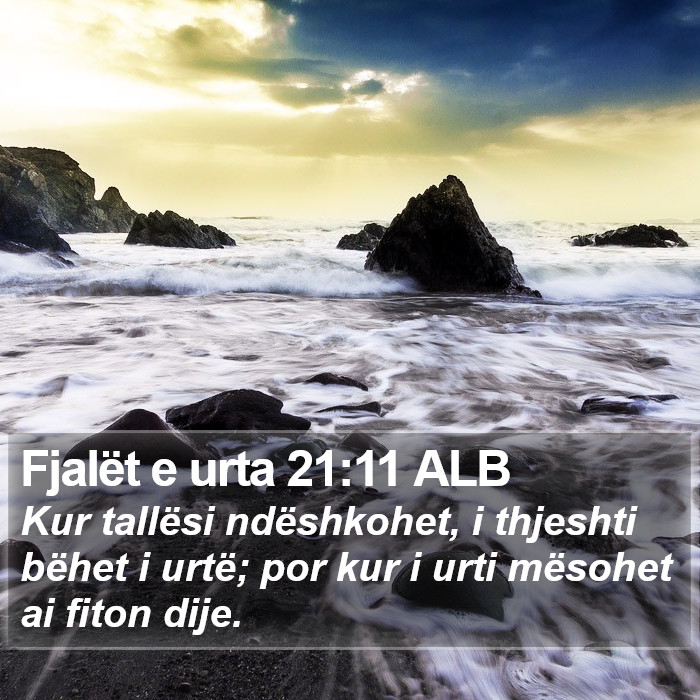 Fjalët e urta 21:11 ALB Bible Study