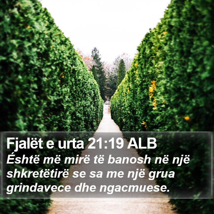 Fjalët e urta 21:19 ALB Bible Study