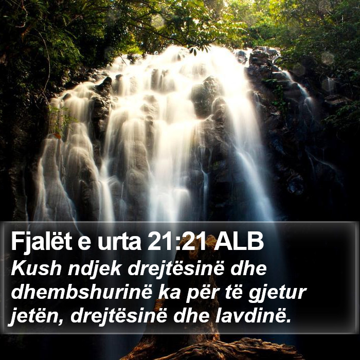 Fjalët e urta 21:21 ALB Bible Study