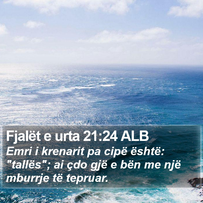 Fjalët e urta 21:24 ALB Bible Study