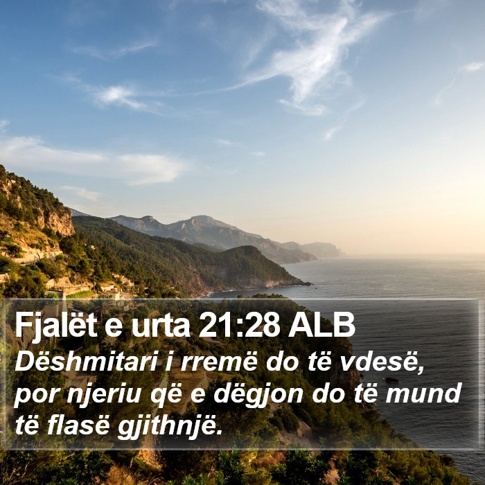 Fjalët e urta 21:28 ALB Bible Study