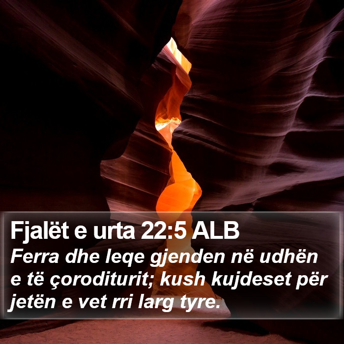 Fjalët e urta 22:5 ALB Bible Study