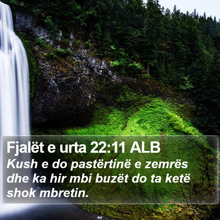 Fjalët e urta 22:11 ALB Bible Study