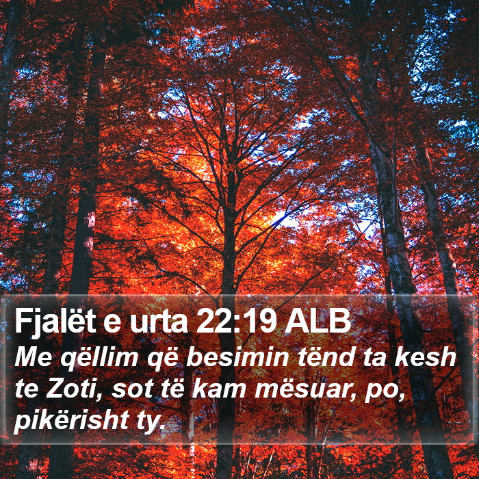Fjalët e urta 22:19 ALB Bible Study