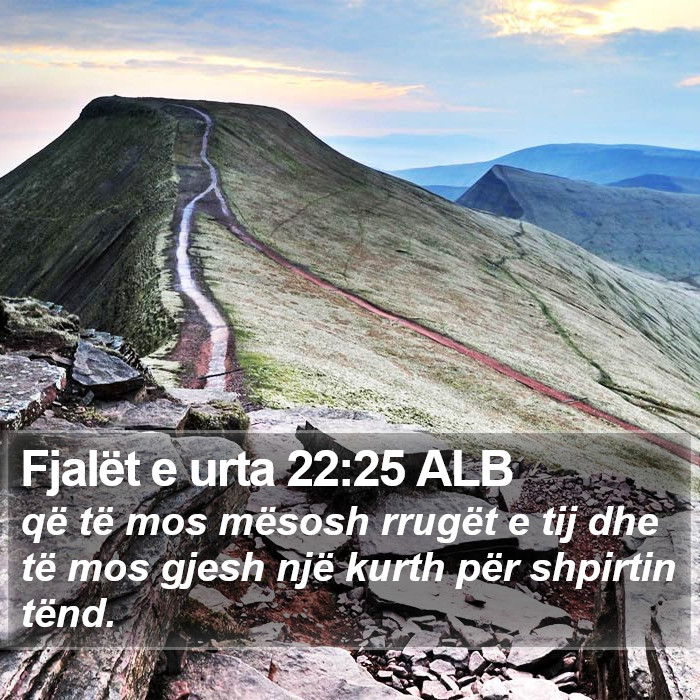 Fjalët e urta 22:25 ALB Bible Study