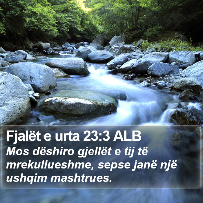 Fjalët e urta 23:3 ALB Bible Study