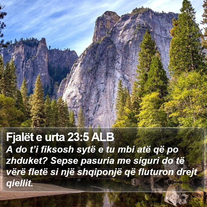 Fjalët e urta 23:5 ALB Bible Study