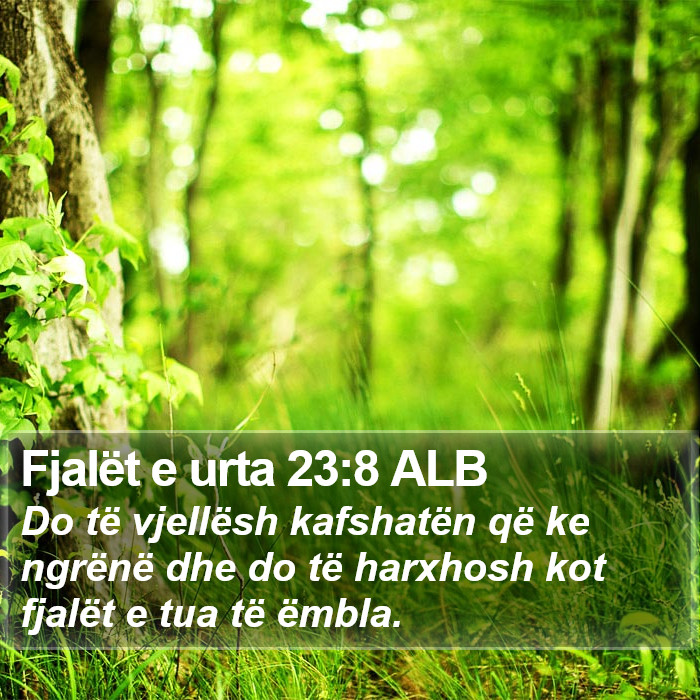 Fjalët e urta 23:8 ALB Bible Study