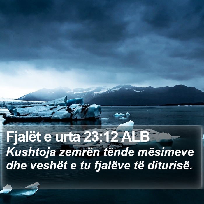 Fjalët e urta 23:12 ALB Bible Study