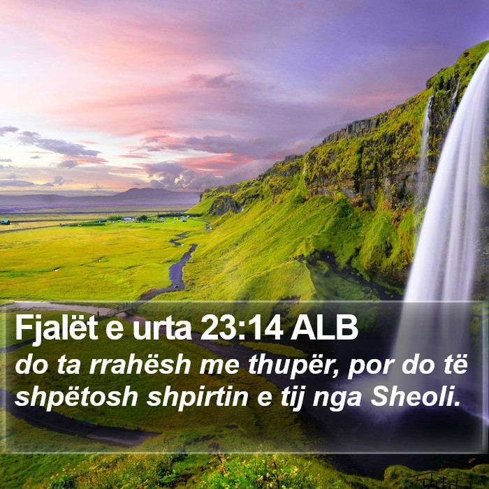 Fjalët e urta 23:14 ALB Bible Study
