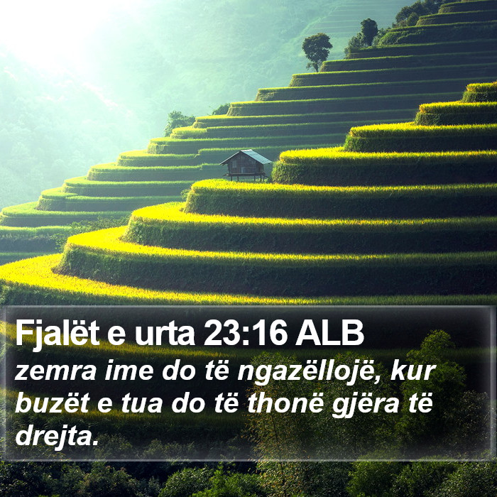 Fjalët e urta 23:16 ALB Bible Study