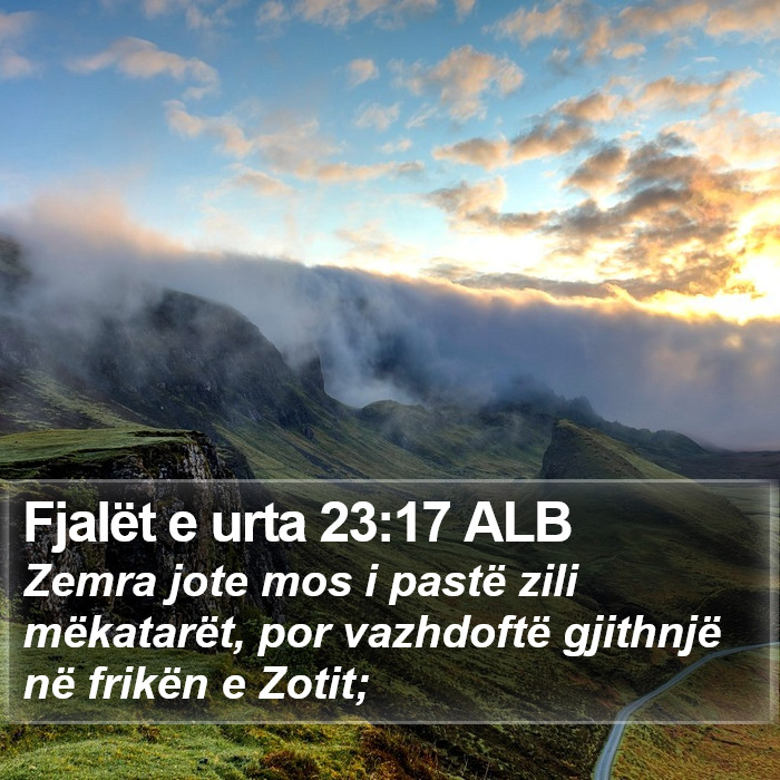 Fjalët e urta 23:17 ALB Bible Study