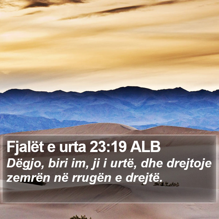 Fjalët e urta 23:19 ALB Bible Study
