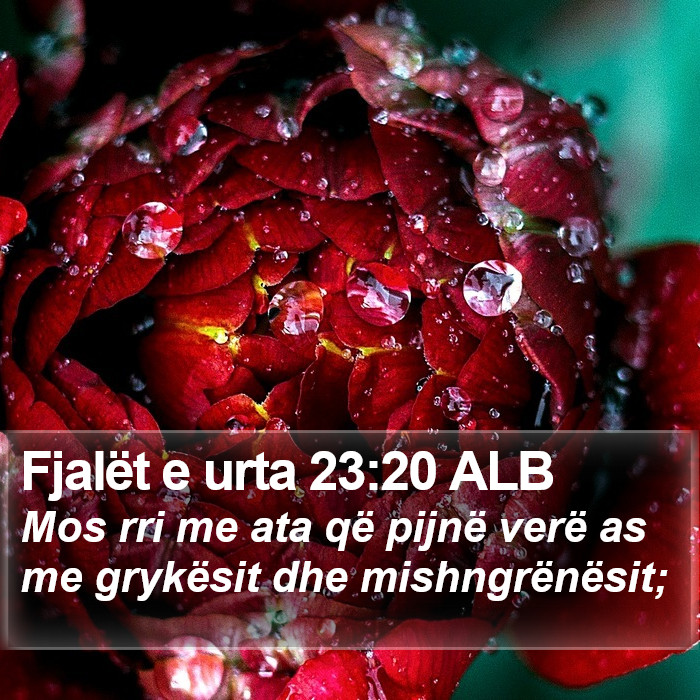 Fjalët e urta 23:20 ALB Bible Study