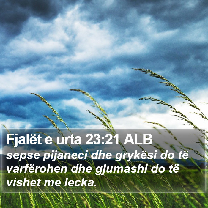 Fjalët e urta 23:21 ALB Bible Study