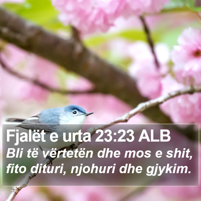 Fjalët e urta 23:23 ALB Bible Study