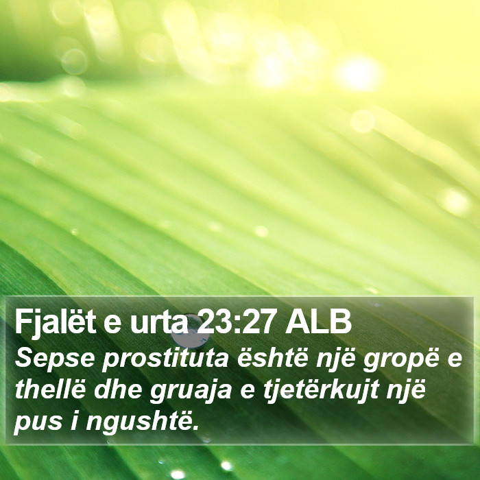 Fjalët e urta 23:27 ALB Bible Study