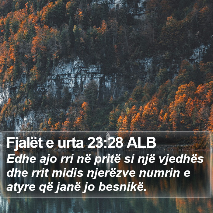 Fjalët e urta 23:28 ALB Bible Study