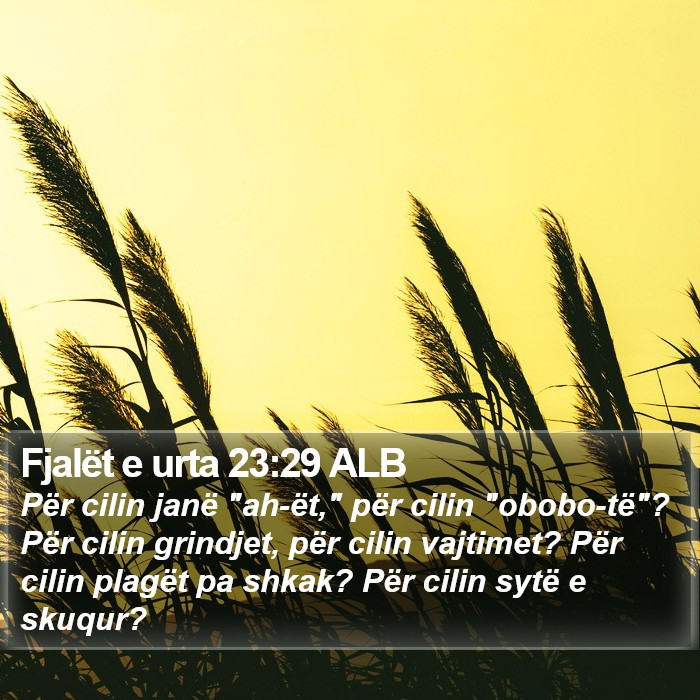 Fjalët e urta 23:29 ALB Bible Study