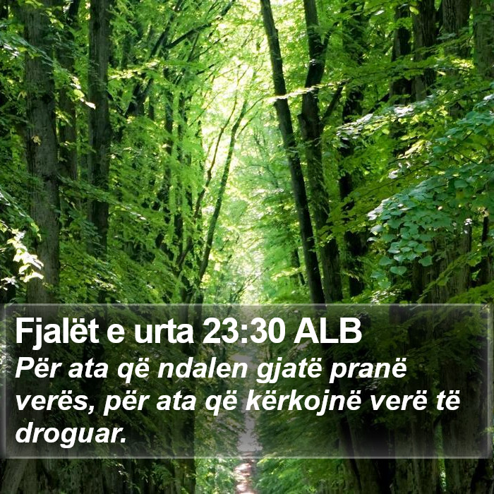 Fjalët e urta 23:30 ALB Bible Study