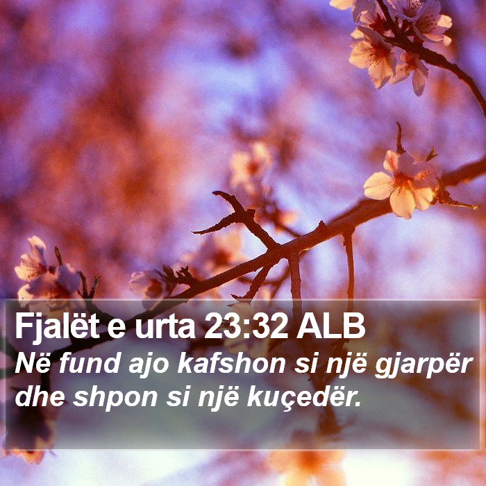 Fjalët e urta 23:32 ALB Bible Study