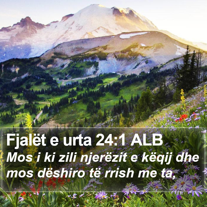 Fjalët e urta 24:1 ALB Bible Study