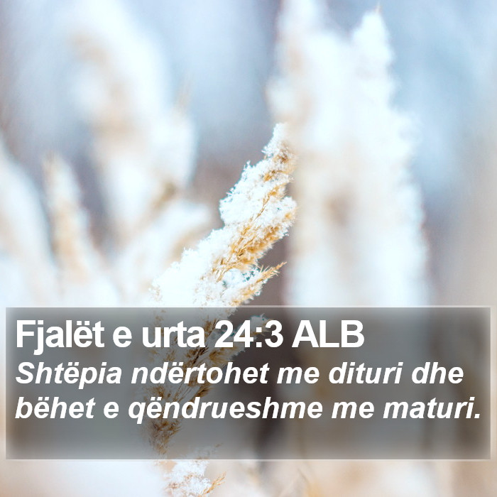 Fjalët e urta 24:3 ALB Bible Study