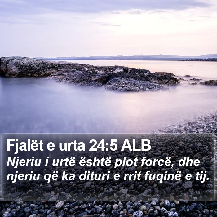 Fjalët e urta 24:5 ALB Bible Study