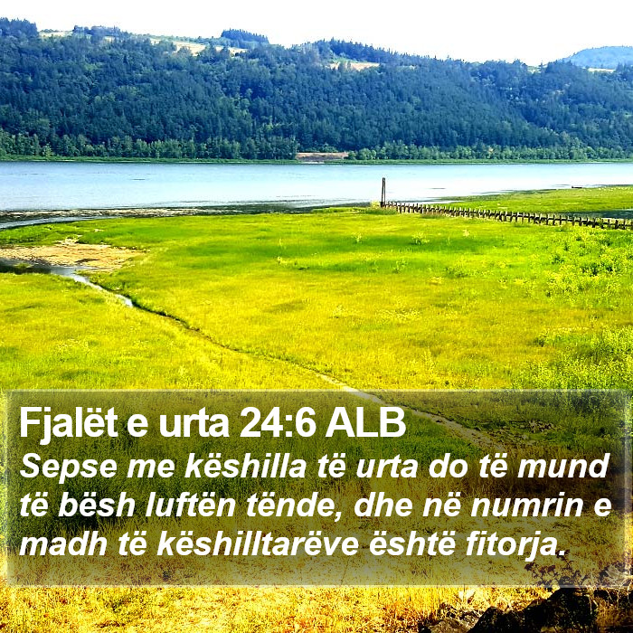 Fjalët e urta 24:6 ALB Bible Study
