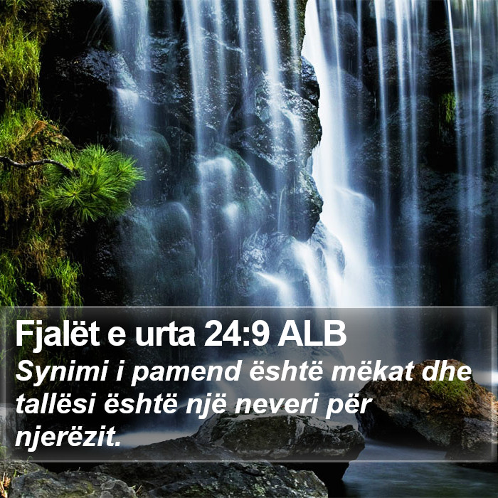 Fjalët e urta 24:9 ALB Bible Study