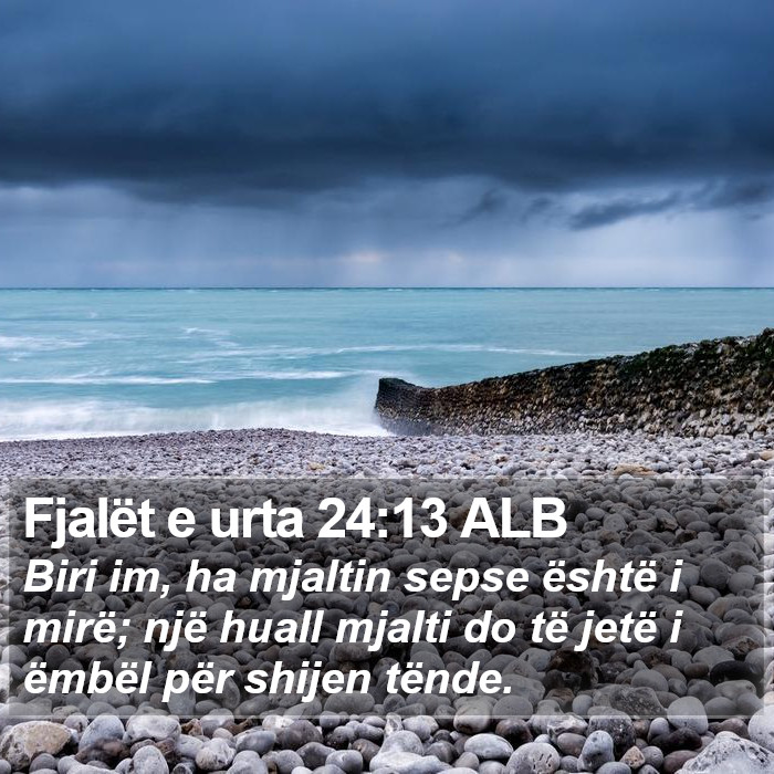 Fjalët e urta 24:13 ALB Bible Study