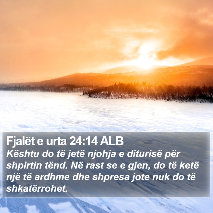 Fjalët e urta 24:14 ALB Bible Study