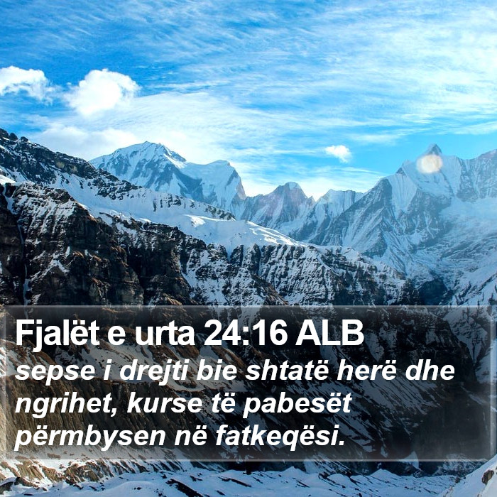 Fjalët e urta 24:16 ALB Bible Study