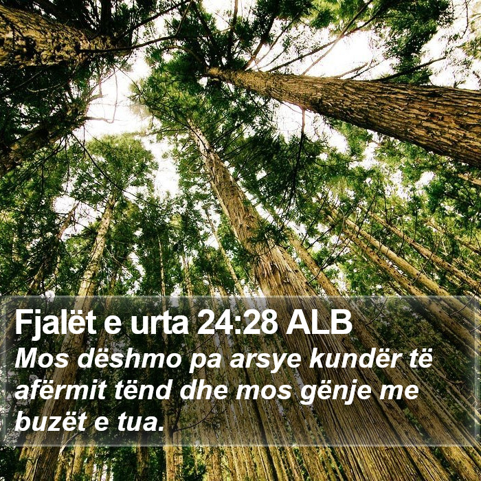 Fjalët e urta 24:28 ALB Bible Study