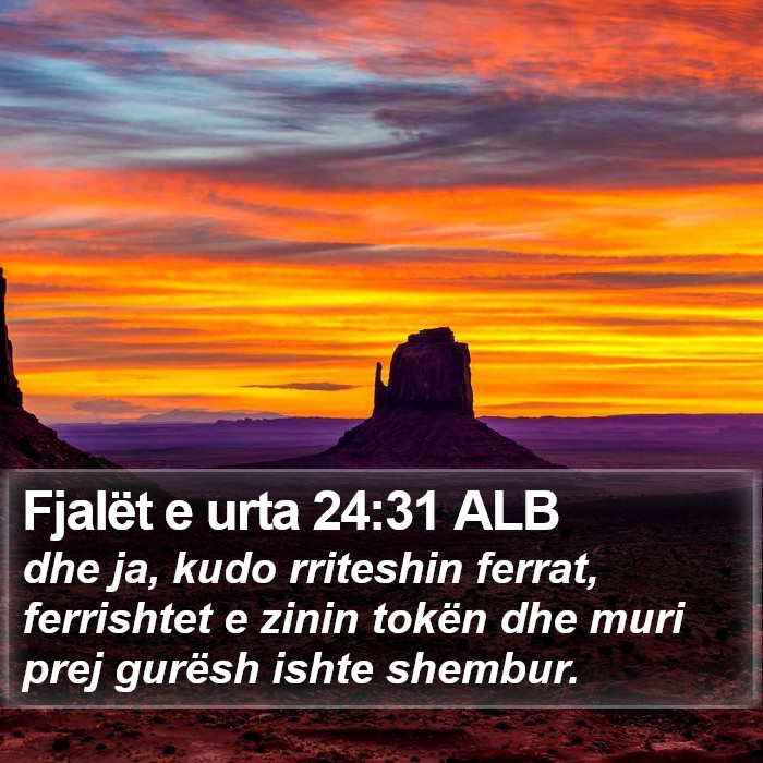 Fjalët e urta 24:31 ALB Bible Study