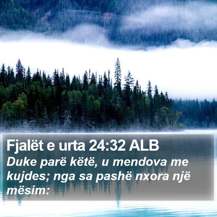 Fjalët e urta 24:32 ALB Bible Study