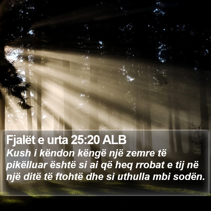 Fjalët e urta 25:20 ALB Bible Study