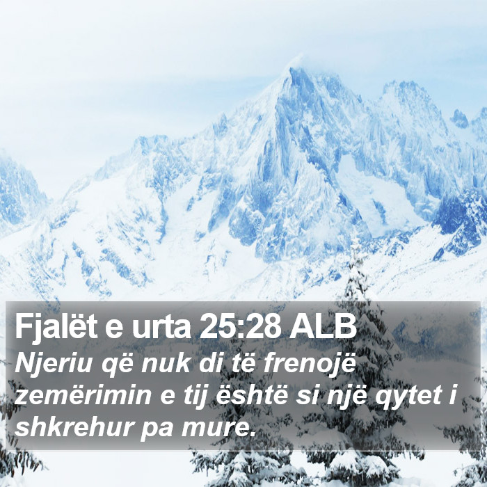 Fjalët e urta 25:28 ALB Bible Study