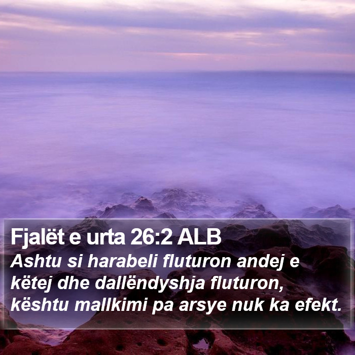 Fjalët e urta 26:2 ALB Bible Study