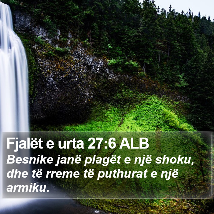 Fjalët e urta 27:6 ALB Bible Study